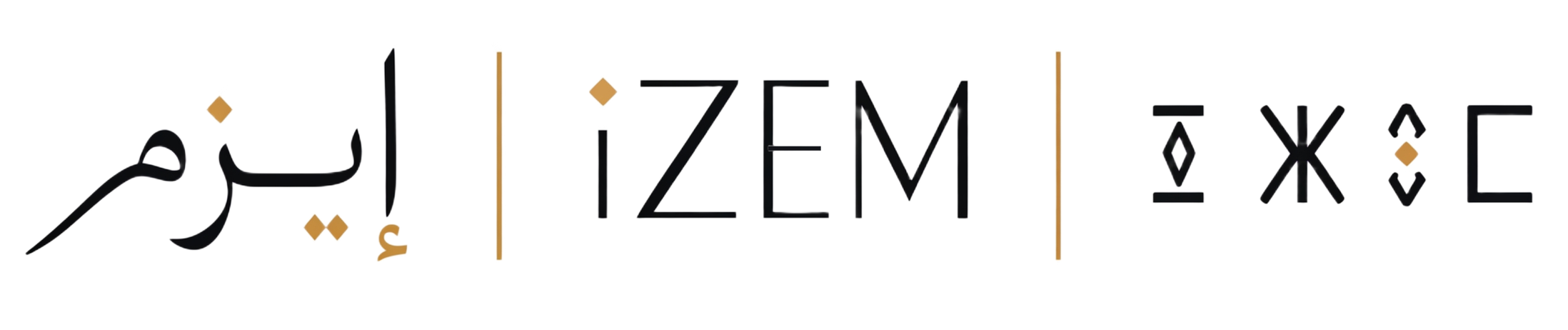 iZEM Logo